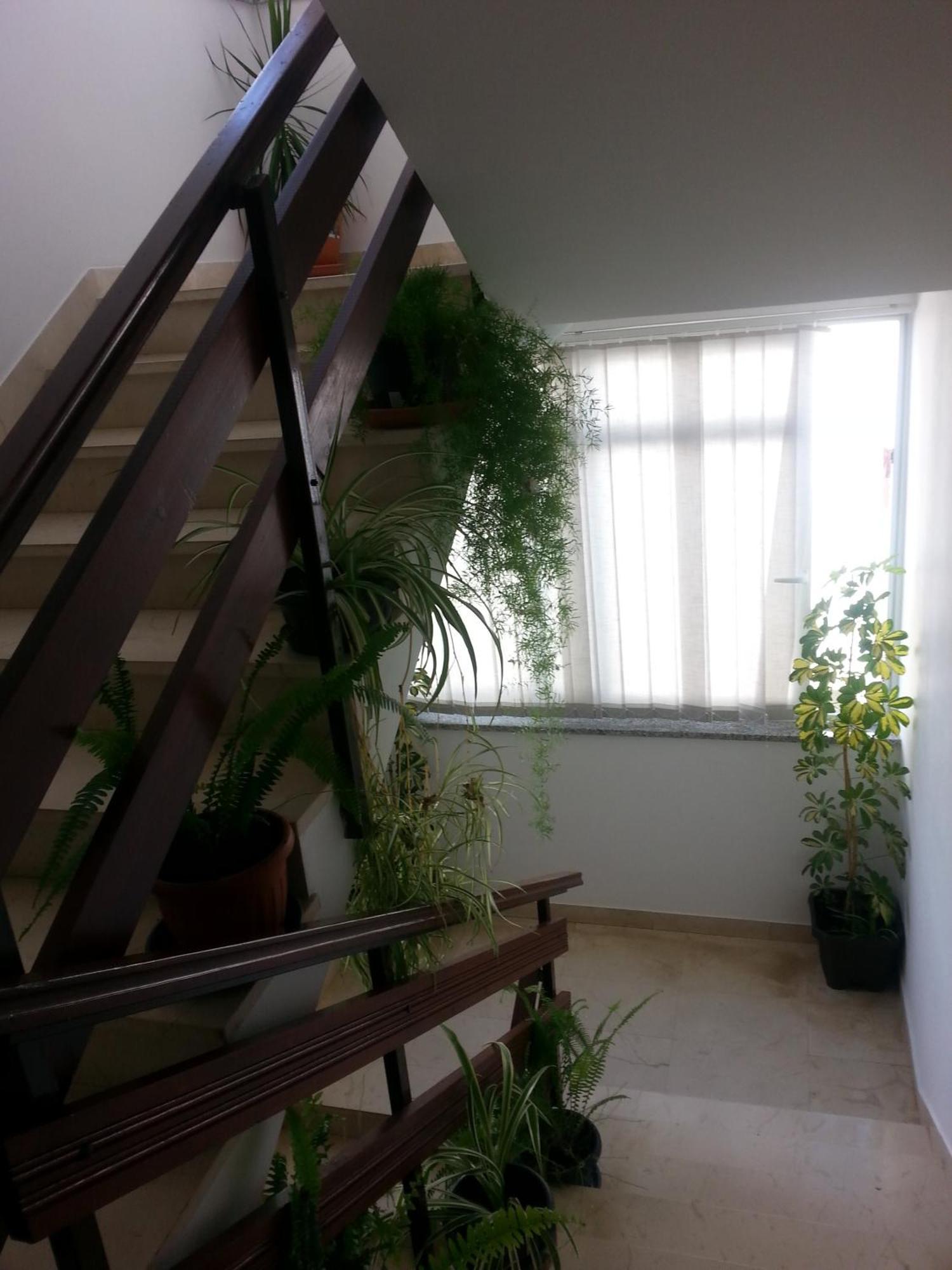 Apartments Roncevic Zadar Exterior photo